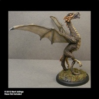 dragons/DF-529-New