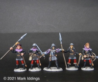 Town Guard (5)