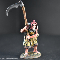 Troll Heavy Warriors (6)