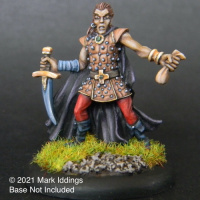 Male Thief in Leather Armour