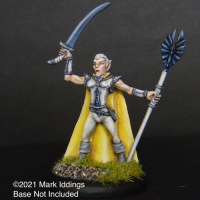 Male Elven Fighter