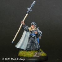 High Elf Heavy Fighter