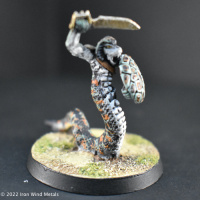 Naga Guardian Warriors