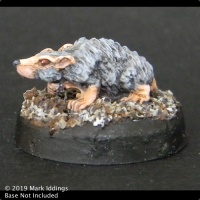 Giant Rat