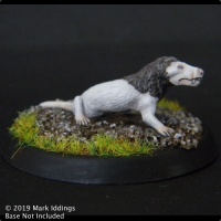 Therapsid Carnivore (Small)