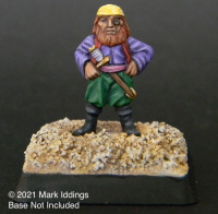 Dwarf Pirate