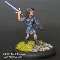 Female Fighter with Sword and Shield III