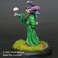 Kindly Old Wizard