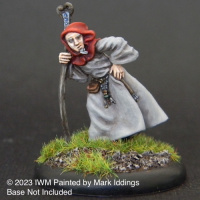 Old Wizard with Staff