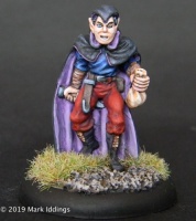 Elf Male Thief