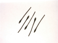 historicals/DH-329