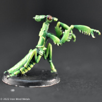 Small Mantis