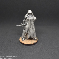 Dark Elf Sorceress