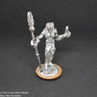 Elf Half-Demon Sorcerer