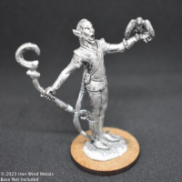 High Elf Sorcerer