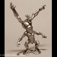tinman/TM-1010