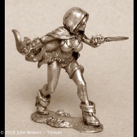 tinman/TM-1023