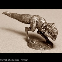 tinman/TM-2004