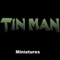 tinmancat