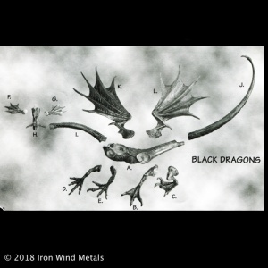 Black Dragon of Fire and Darkness