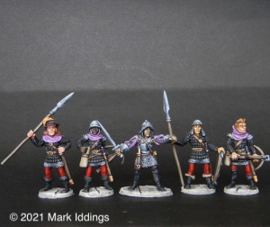 Town Guard (5)