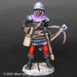 Town Guard (5)