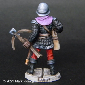 Town Guard (5)