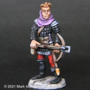 Town Guard (5)