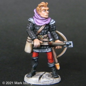Town Guard (5)