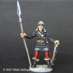 Town Guard (5)