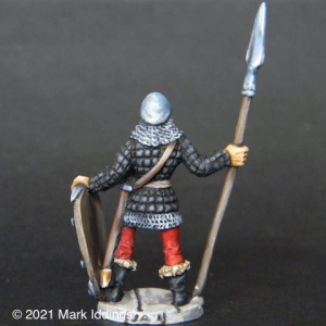 Town Guard (5)