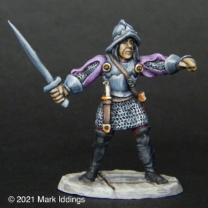 Town Guard (5)
