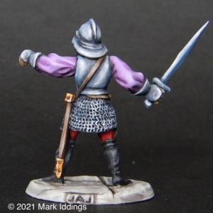 Town Guard (5)