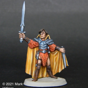The Thieves Guild