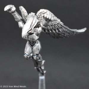 Hawk Men (2)