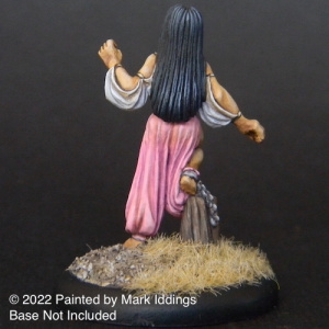 Slaver and Captive Princess