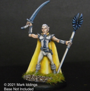 Male Elven Fighter