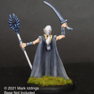 Male Elven Fighter