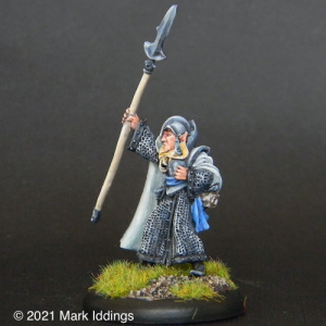 High Elf Heavy Fighter