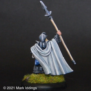 High Elf Heavy Fighter