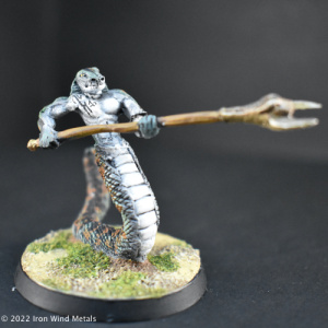 Naga Guardian Warriors