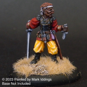 Thief with Sword and Dagger