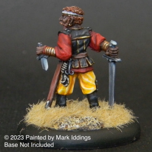 Thief with Sword and Dagger