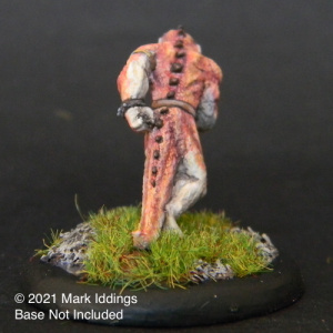 Lizard Man with  Scimitar