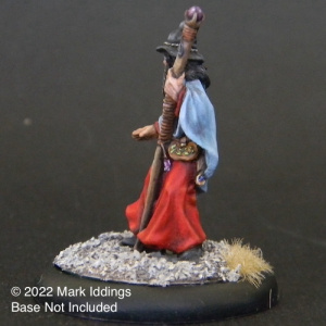 Wizard with Staff