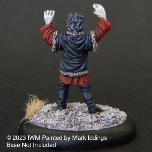 Gesturing Wizard