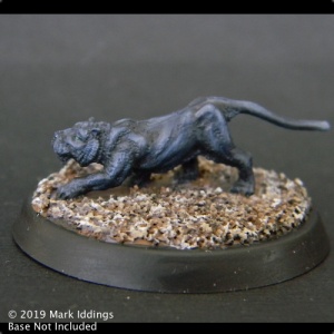 Hunting Cat