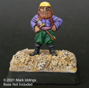 Dwarf Pirate