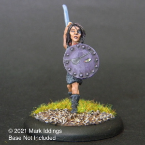 Female Fighter with Sword and Shield III