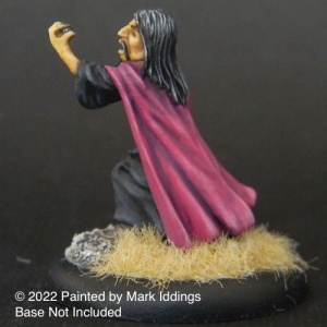 Evil Wizard